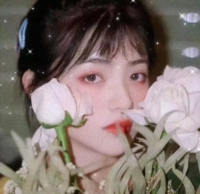 新妇日记 海报